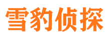 成县寻人公司